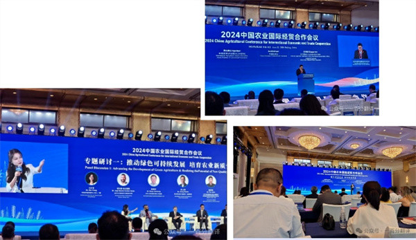 1719885556918328.jpg 2.jpg