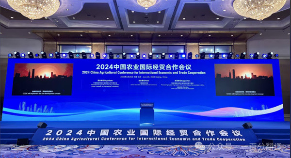 1719885567420832.jpg 1.jpg